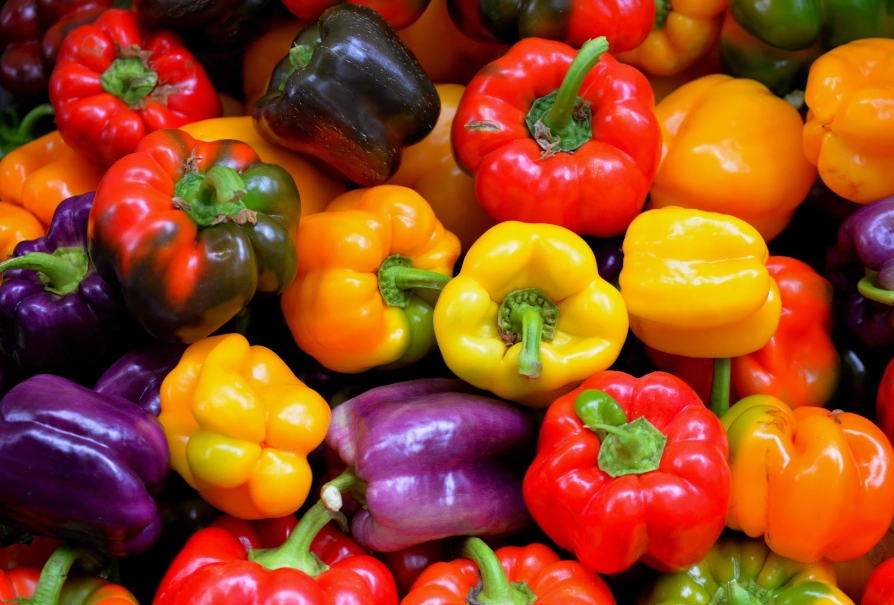 bell pepper plant problems