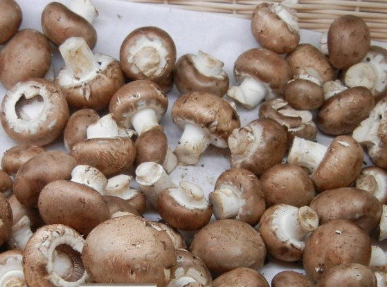 crimini mushrooms vs white mushrooms