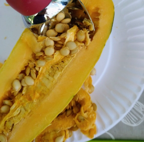 roasting pumpkin seeds