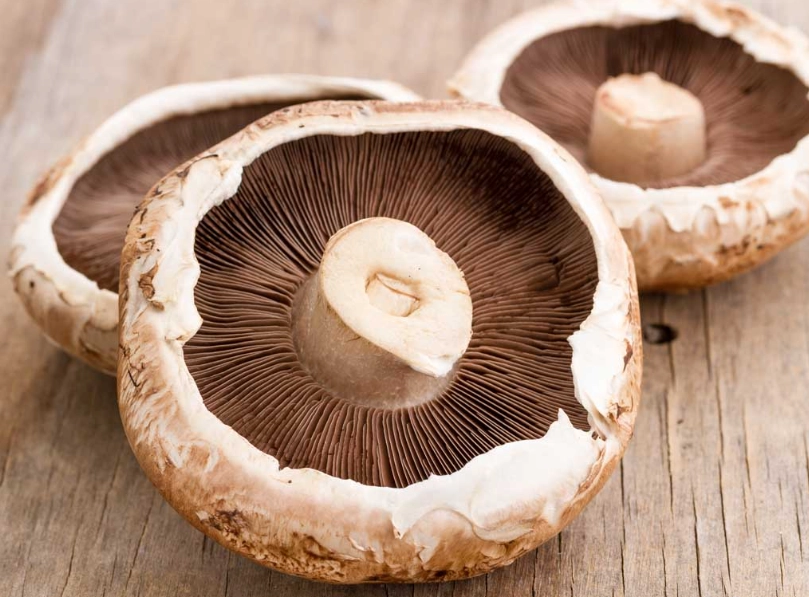 crimini vs portobello