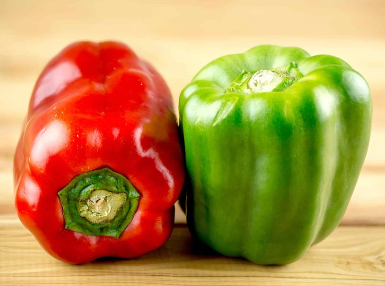 bell pepper plant care