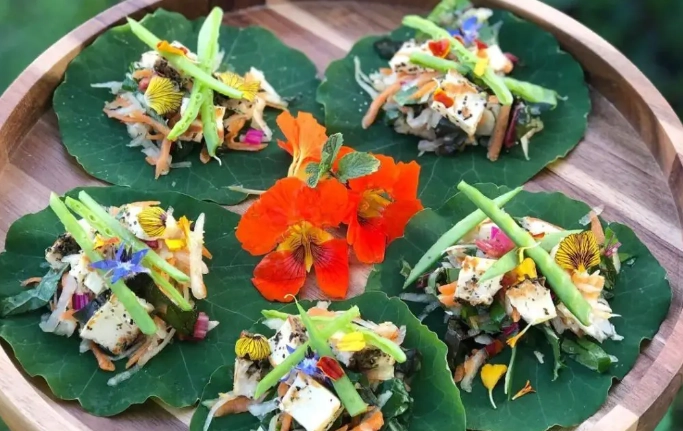 how to eat nasturtium leaves