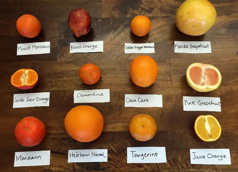 in season produce guide