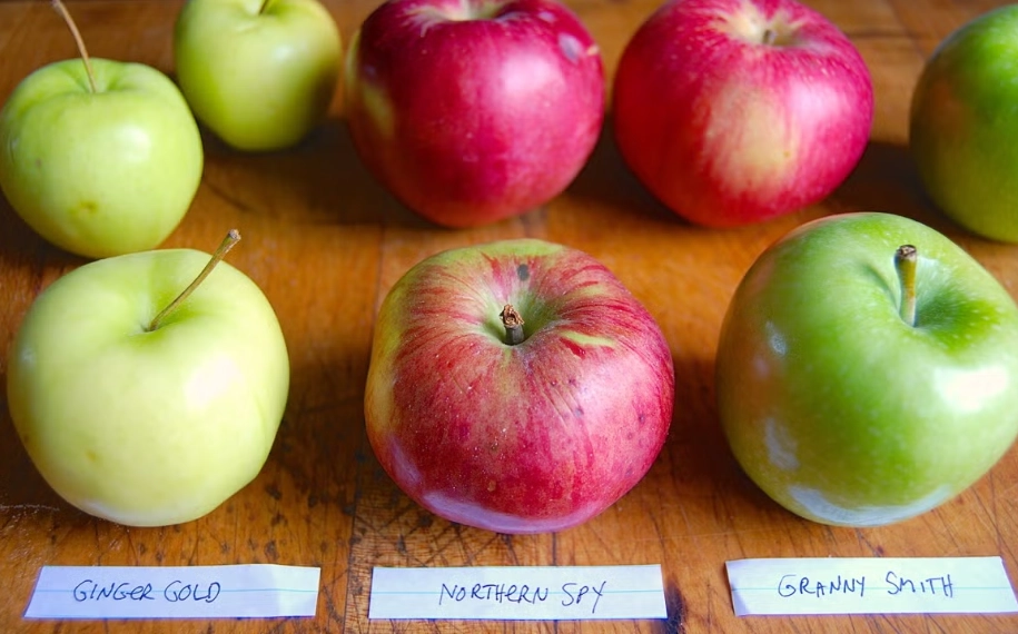 best apples for apple pie