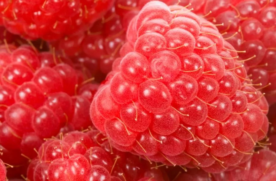 raspberry recipes