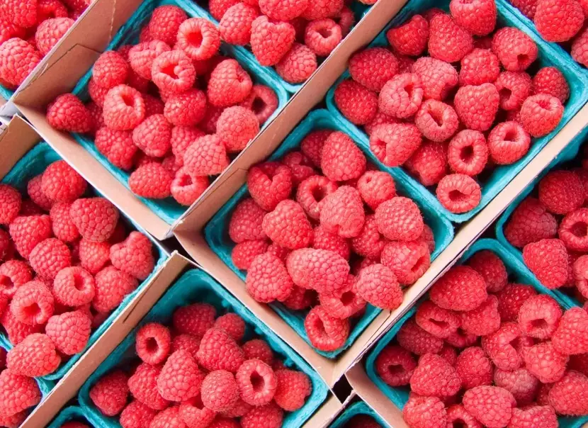raspberry health benefits