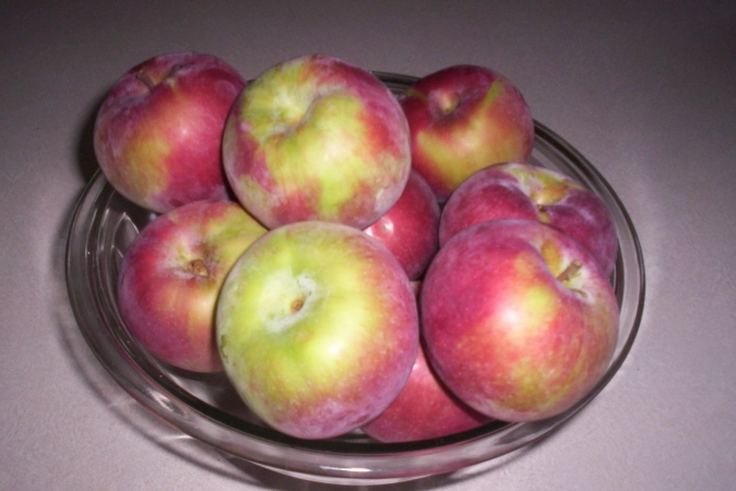 best apples for apple pie