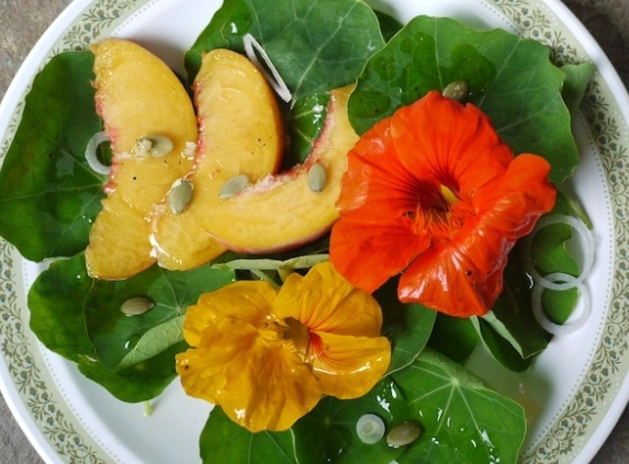 edible nasturtium recipes
