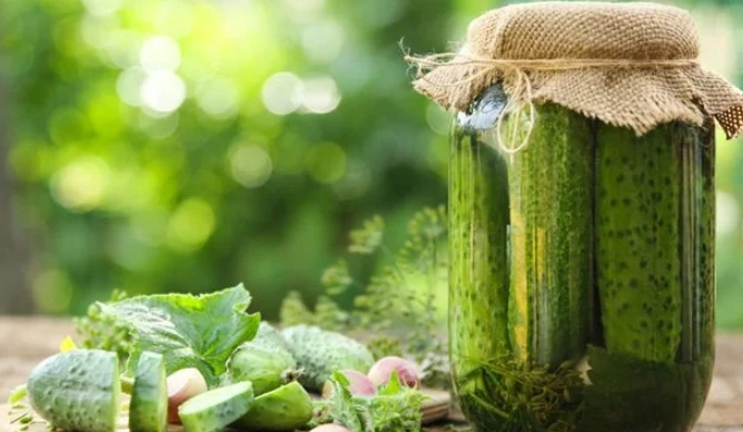 best pickling cucumber varieties