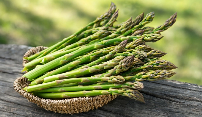 asparagus spear
