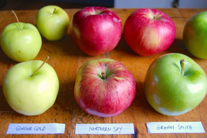 baking with Gala apples