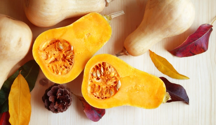 harvesting butternut squash