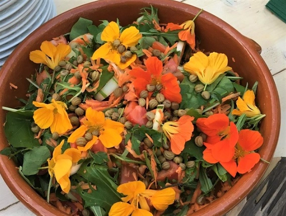 edible nasturtium recipes