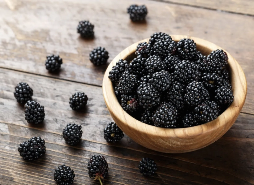 when are blackberries ripe