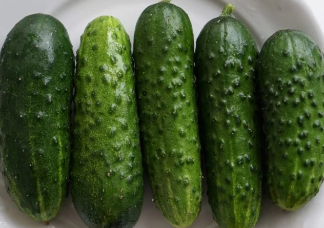 best cucumbers for pickles
