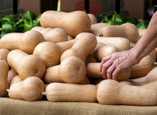 how to tell if butternut squash is ripe