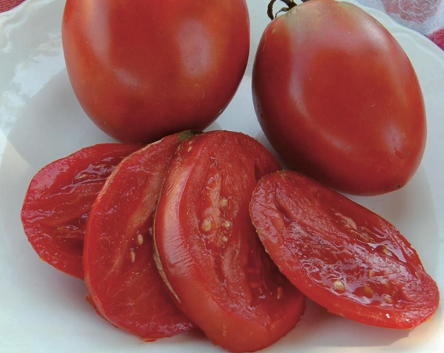 how to grow paste tomatoes