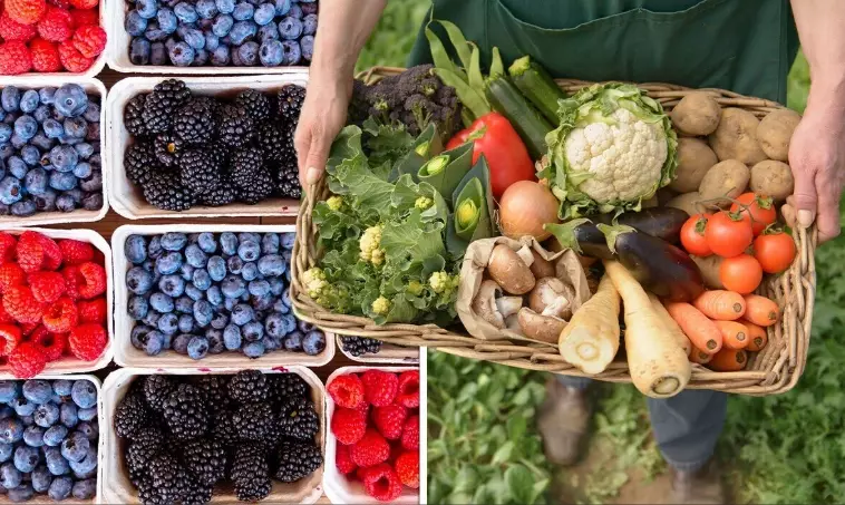 best fruits to eat in may