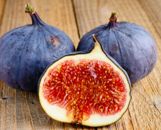fresh figs season