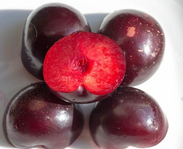 red plum benefits