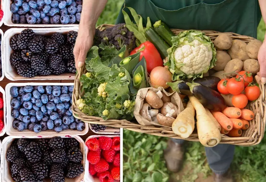 benefits of seasonal fruit