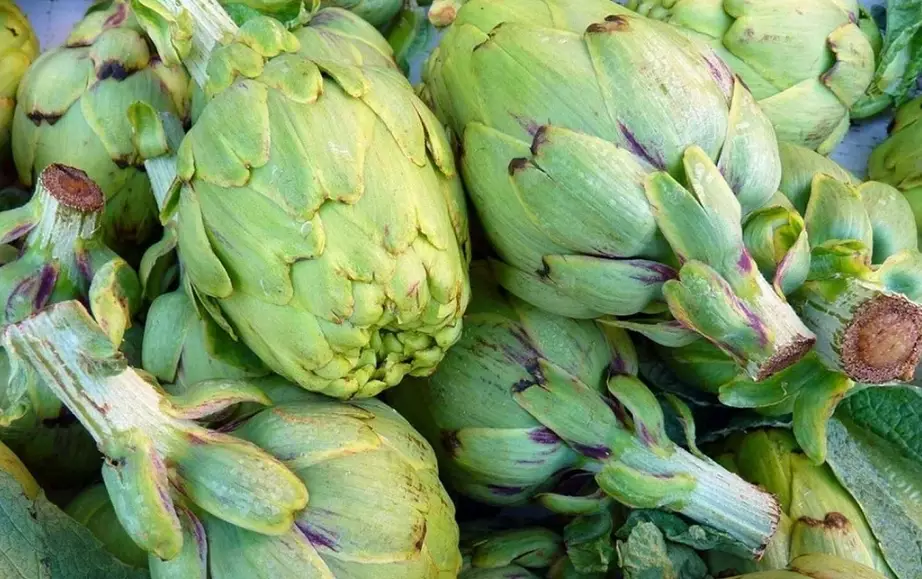 artichoke season