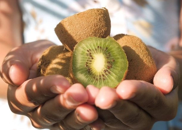 when is kiwi season