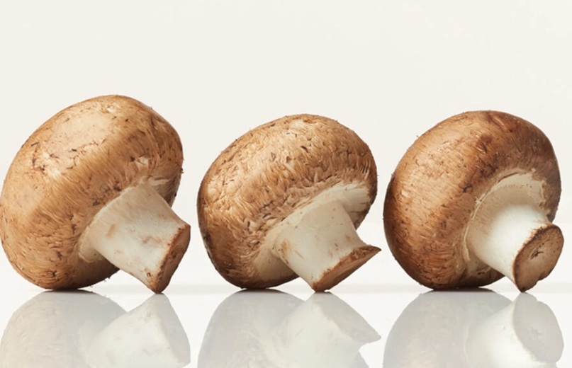 cremini vs button mushroom