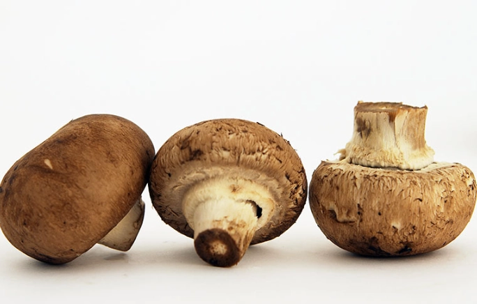 cremini vs button mushroom