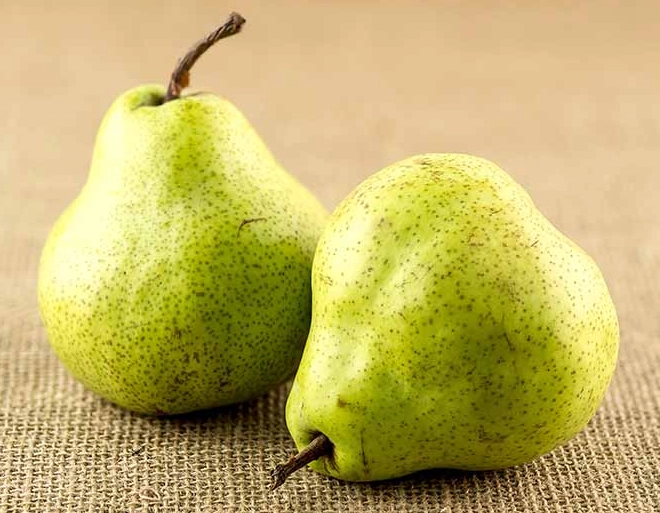 fall seasonal fruits