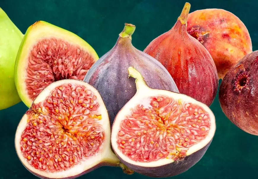 fall seasonal fruits