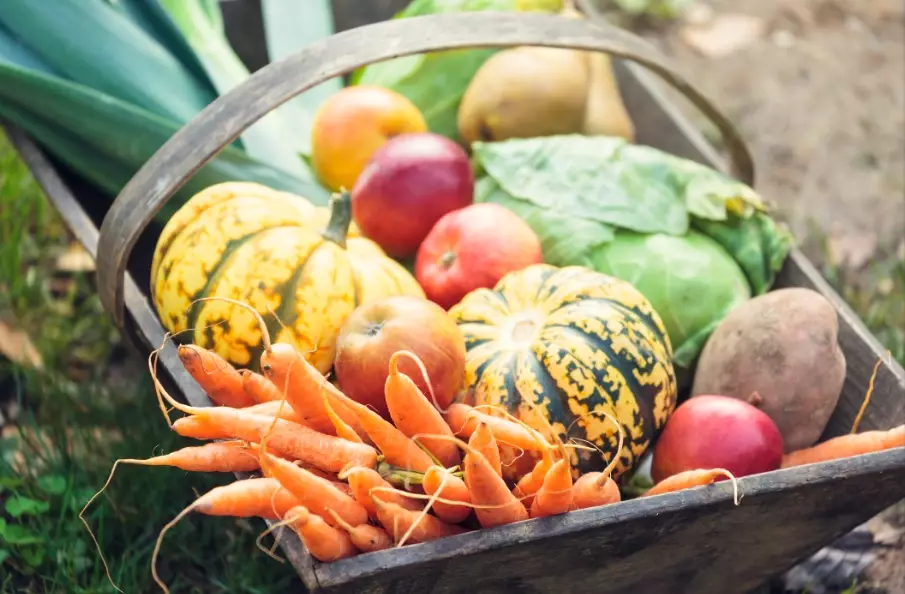 eating seasonally eating seasonally