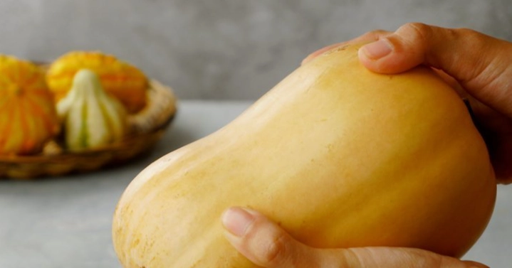 ripe butternut squash ripe butternut squash