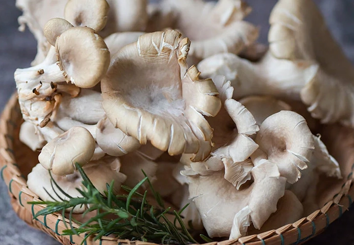 cooking oyster mushrooms