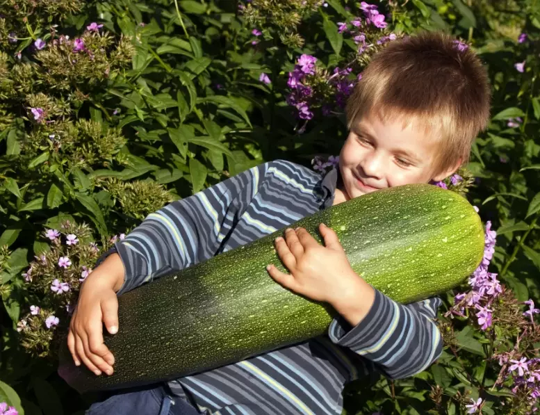 how to cook large zucchini