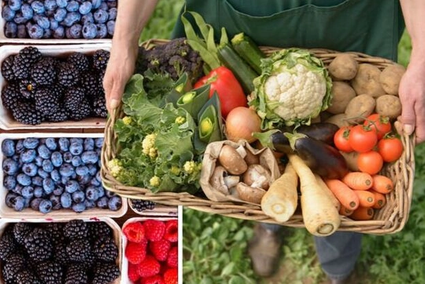 in season vegetables