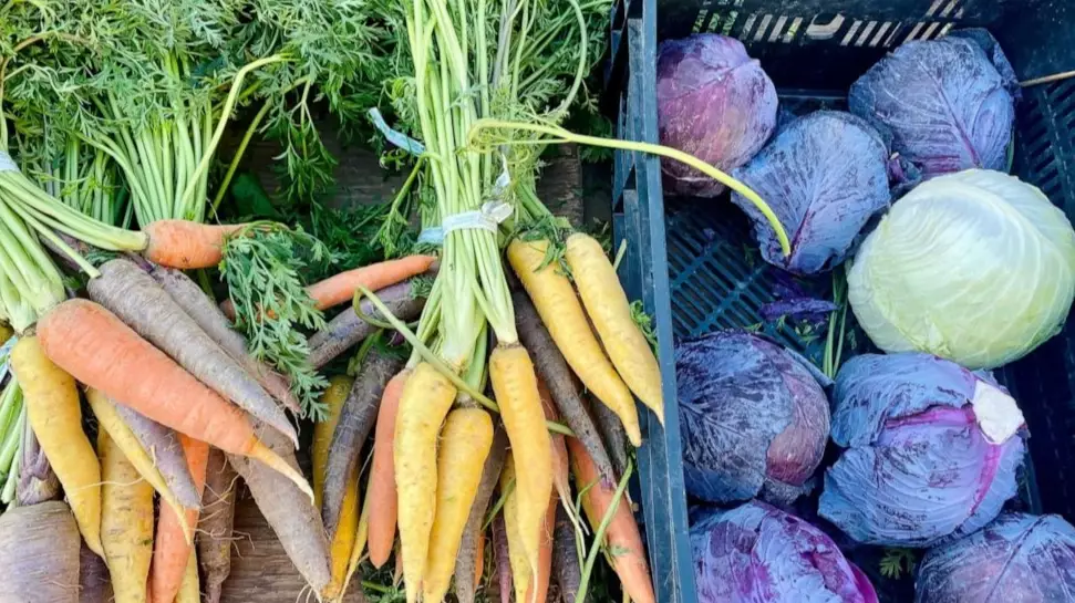 what fruits are in season what fruits are in season