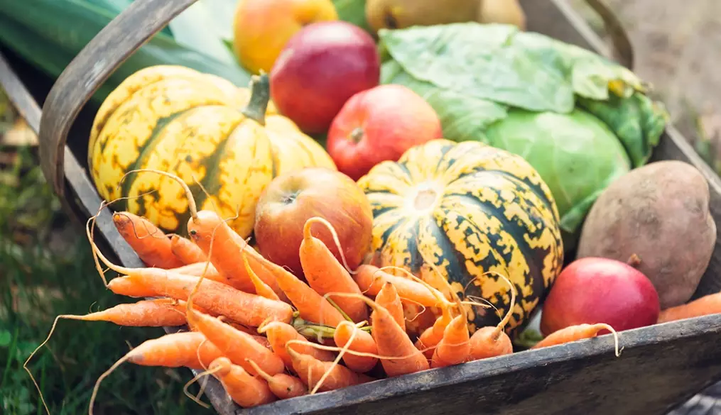 in season vegetables