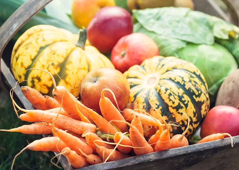 october seasonal fruits