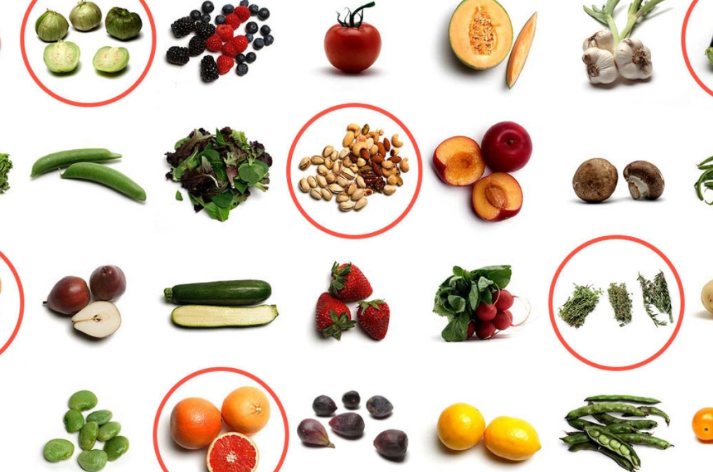 in season vegetables in season vegetables