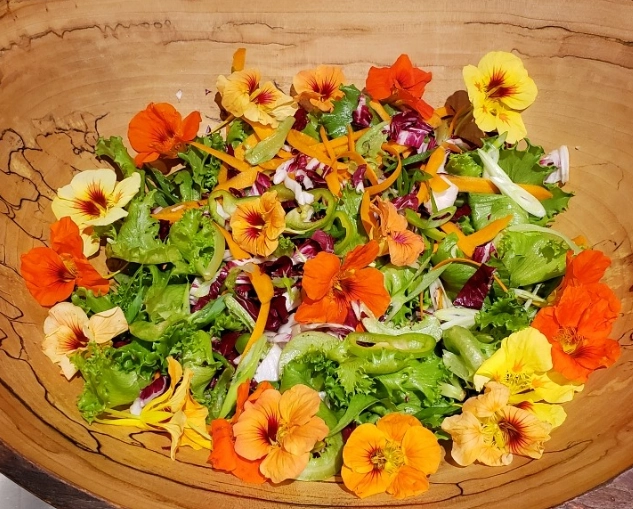 nasturtium recipes nasturtium recipes