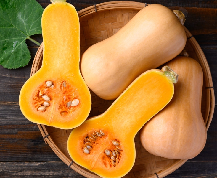 when to pick butternut squash when to pick butternut squash