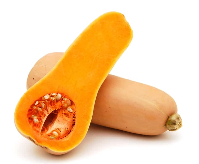 harvest butternut squash harvest butternut squash