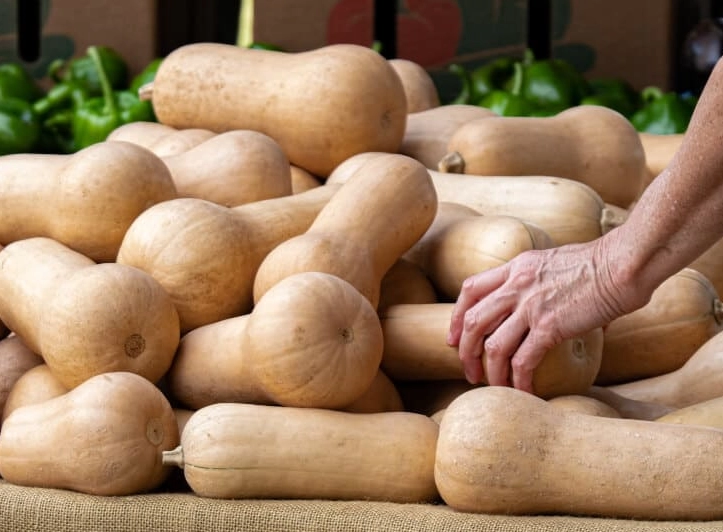 when is butternut squash ripe