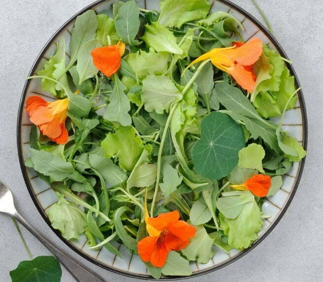 edible flower salad edible flower salad