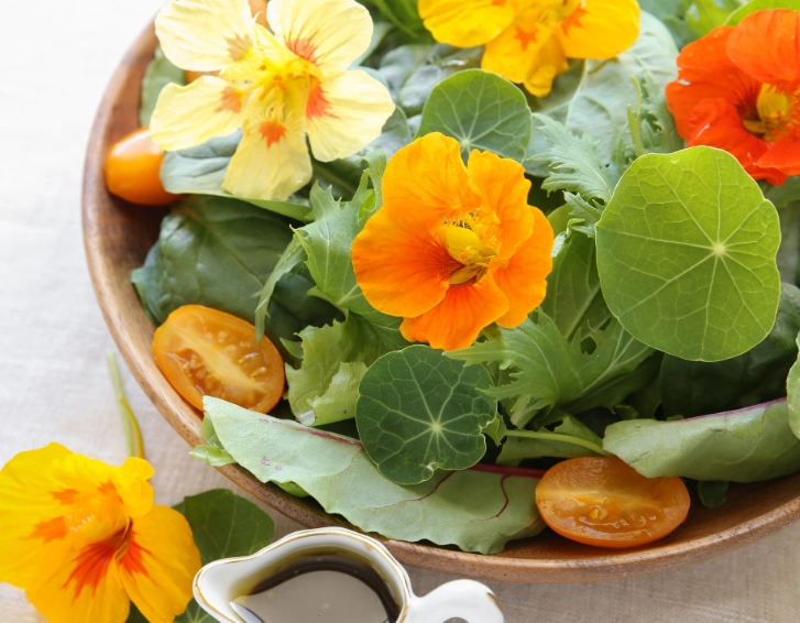 recipes with nasturtium