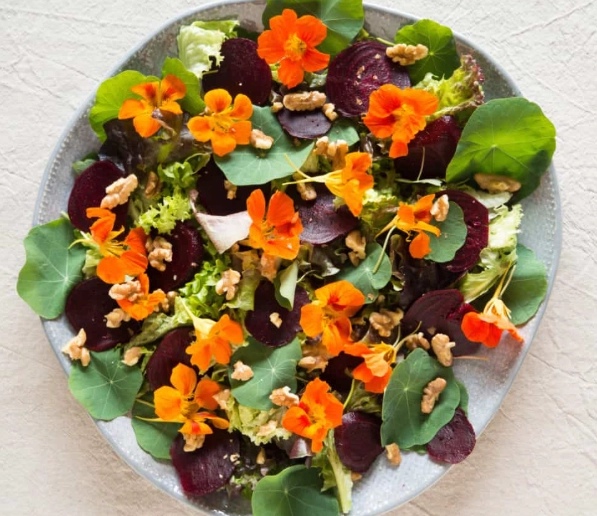 edible flower salad edible flower salad