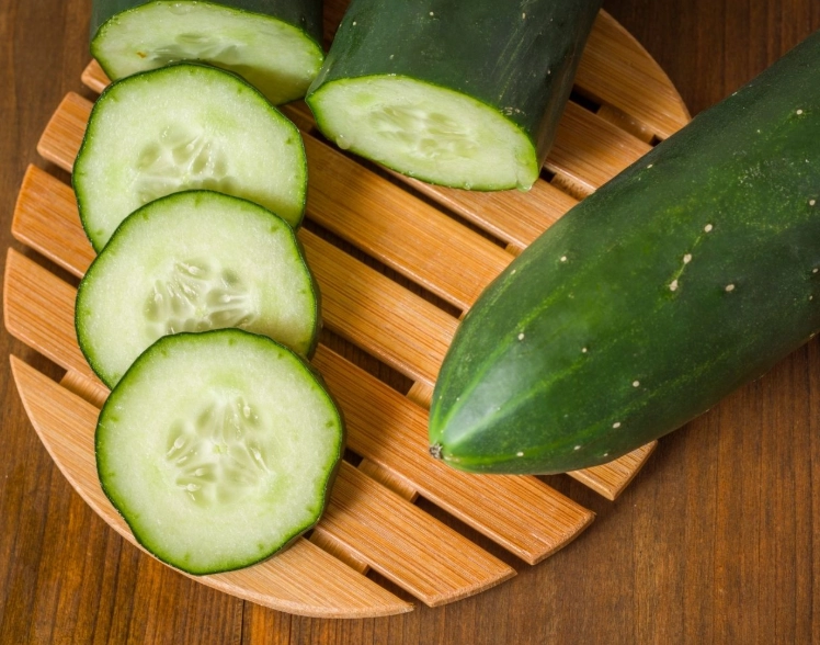 bitter cucumber causes bitter cucumber causes