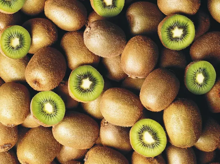 kiwi season kiwi season