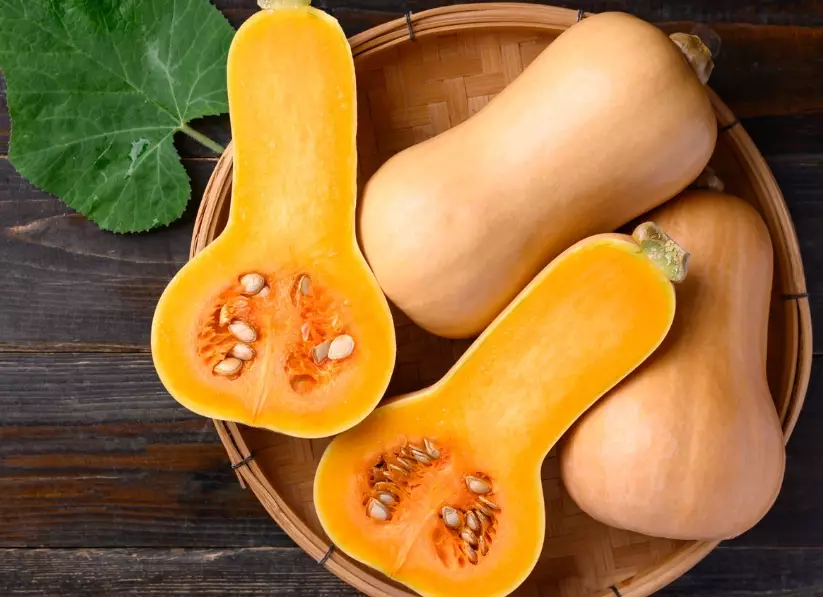 when to harvest butternut squash